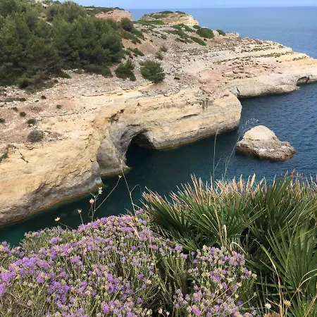 Appartement Casa As Gaivotas Carvoeiro (Lagoa)