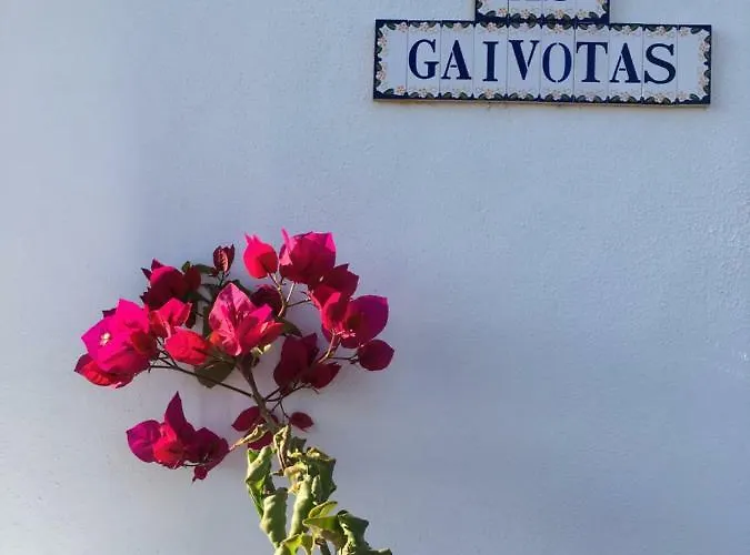 Casa As Gaivotas Carvoeiro (Lagoa)