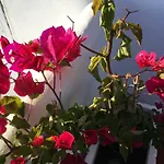 Casa As Gaivotas *