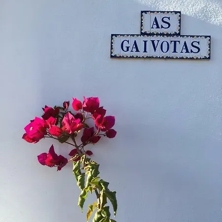Casa As Gaivotas Карвоейру