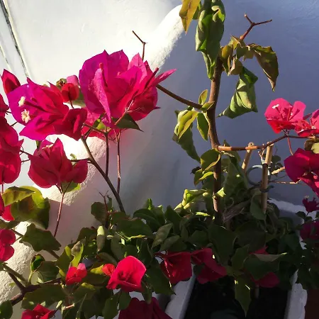 Casa As Gaivotas *
